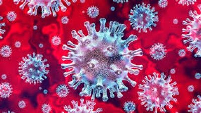 Rize’de Koronavirüs vakası var?